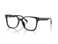 Jimmy Choo Briller JC 3038D 5000