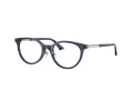 Jimmy Choo Briller JC 3039D 5035