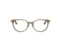 Jimmy Choo Briller JC 3039D 5051