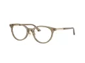 Jimmy Choo Briller JC 3039D 5051
