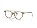 Jimmy Choo Briller JC 3039D 5051
