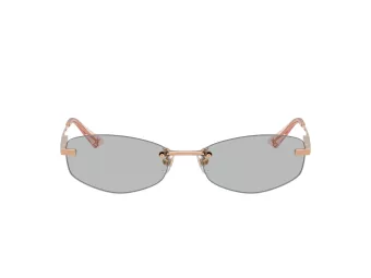 Jimmy Choo Solbriller JC 4013D 300887
