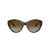 Jimmy Choo Solbriller JC 5007 5002T5