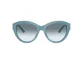 Jimmy Choo Solbriller JC 5007 501219