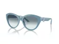 Jimmy Choo Solbriller JC 5007 501219