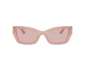 Jimmy Choo Solbriller JC 5011U 5027/5