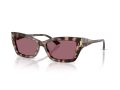 Jimmy Choo Solbriller JC 5011U 50701A