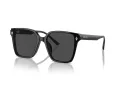 Jimmy Choo Solbriller JC 5016D 500087
