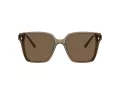 Jimmy Choo Solbriller JC 5016D 505173