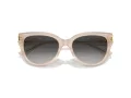 Jimmy Choo Solbriller JC 5018U 50258G