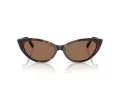 Jimmy Choo Solbriller JC 5023H 500273