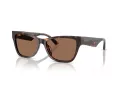 Jimmy Choo Solbriller JC 5024HU 500273