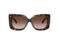 Jimmy Choo Solbriller JC 5025H 500213