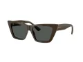 Jimmy Choo Solbriller JC 5028 506087