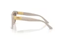 Jimmy Choo Solbriller JC 5031 50336I