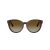 Jimmy Choo Solbriller JC 5032D 5002T5