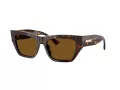Jimmy Choo Solbriller JC 5035B 500283