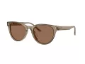 Jimmy Choo Solbriller JC 5043D 505173