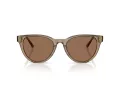 Jimmy Choo Solbriller JC 5043D 505173