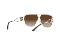 Michael Kors Vienna Solbriller MK 1102 1014/13