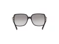 Michael Kors Isle Of Palms Solbriller MK 2098U 3005/11