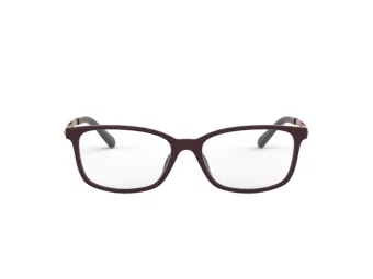 Michael Kors Telluride Briller MK 4060U 3344