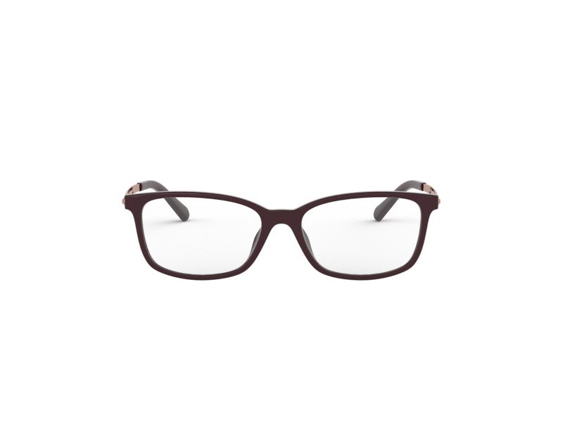 Michael Kors Telluride Briller MK 4060U 3344