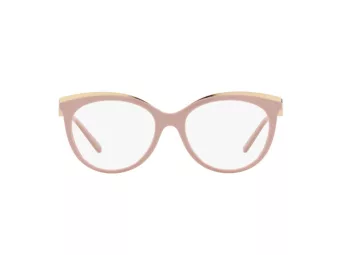 Michael Kors Ajaccio Briller MK 4089U 3111