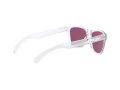 Oakley Frogskins Xs Solbriller OJ 9006 14