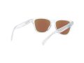 Oakley Frogskins Xs Solbriller OJ 9006 15