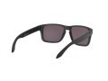 Oakley Holbrook Xs Solbriller OJ 9007 09