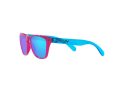 Oakley Frogskins Xxs Solbriller OJ 9009 04