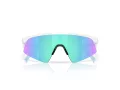 Oakley Resistor Sweep Solbriller OJ 9015 01
