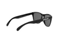 Oakley Frogskins Solbriller OO 9013 24-306