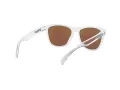 Oakley Frogskins Solbriller OO 9013 D0
