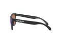 Oakley Frogskins Solbriller OO 9013 H6