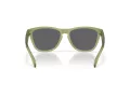 Oakley Frogskins Solbriller OO 9013 M2
