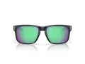 Oakley Holbrook Solbriller OO 9102 AI