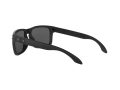 Oakley Holbrook Solbriller OO 9102 D6