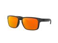 Oakley Holbrook Solbriller OO 9102 E2