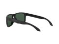 Oakley Holbrook Solbriller OO 9102 E2