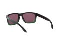 Oakley Holbrook Solbriller OO 9102 E4
