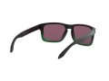 Oakley Holbrook Solbriller OO 9102 E4