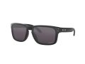 Oakley Holbrook Solbriller OO 9102 E8