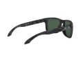 Oakley Holbrook Solbriller OO 9102 E9