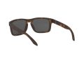 Oakley Holbrook Solbriller OO 9102 F4