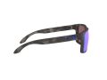 Oakley Holbrook Solbriller OO 9102 G7