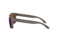 Oakley Holbrook Solbriller OO 9102 J8