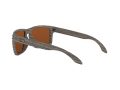 Oakley Holbrook Solbriller OO 9102 J8