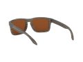 Oakley Holbrook Solbriller OO 9102 J8